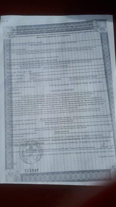 Школьная столовая